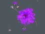 farbe_hk_platin_flora-small.jpg